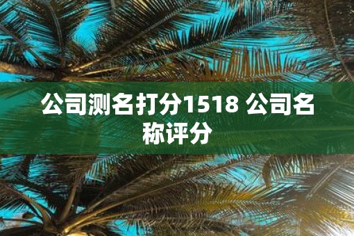 公司测名打分1518 公司名称评分