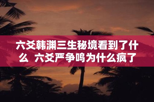 六爻韩渊三生秘境看到了什么  六爻严争鸣为什么疯了
