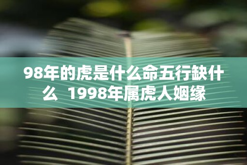 98年的虎是什么命五行缺什么  1998年属虎人姻缘