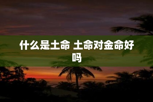 什么是土命 土命对金命好吗