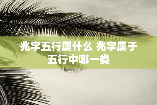 兆字五行属什么 兆字属于五行中哪一类