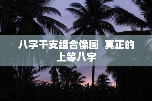八字干支组合像图  真正的上等八字