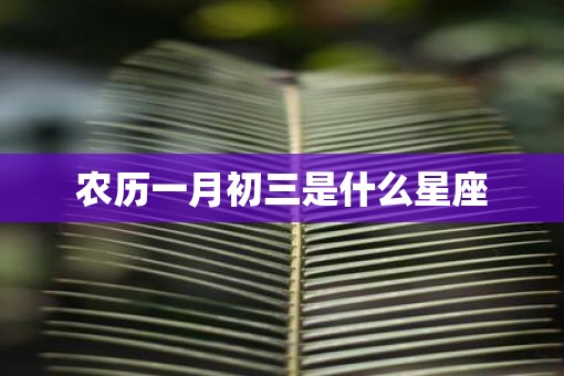 农历一月初三是什么星座