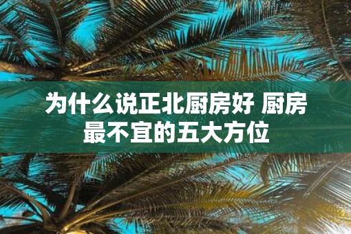 为什么说正北厨房好 厨房最不宜的五大方位