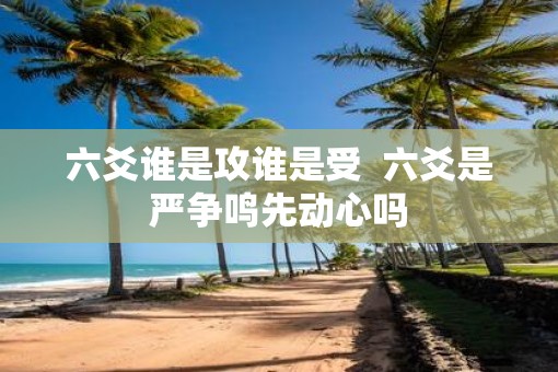 六爻谁是攻谁是受  六爻是严争鸣先动心吗