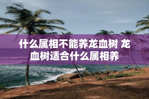 什么属相不能养龙血树 龙血树适合什么属相养