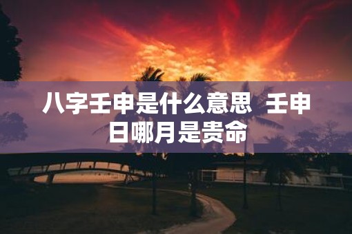 八字壬申是什么意思  壬申日哪月是贵命