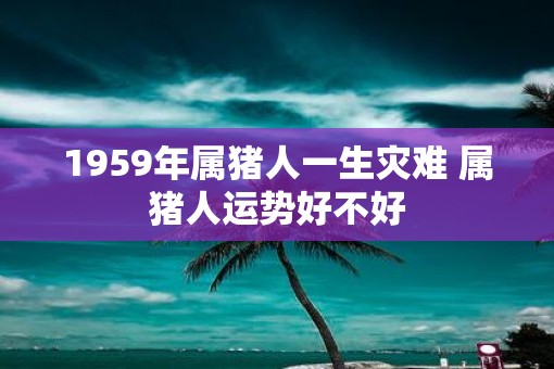 1959年属猪人一生灾难 属猪人运势好不好