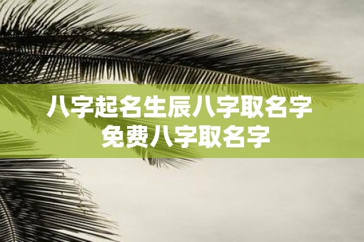 八字起名生辰八字取名字  免费八字取名字