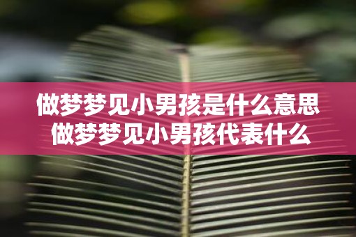做梦梦见小男孩是什么意思 做梦梦见小男孩代表什么