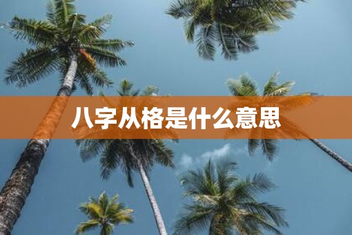 八字从格是什么意思