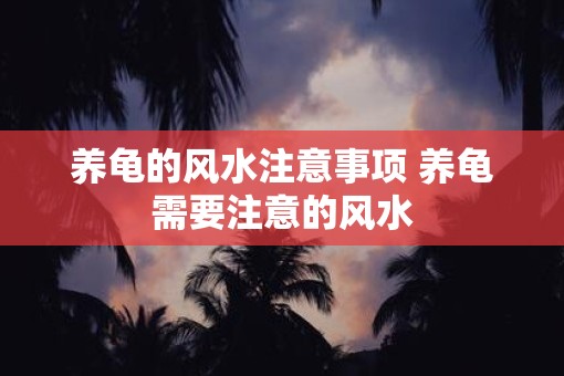 养龟的风水注意事项 养龟需要注意的风水