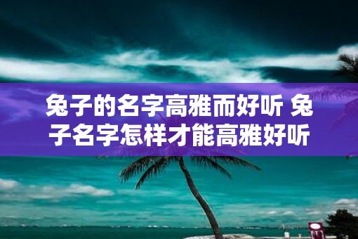 兔子的名字高雅而好听 兔子名字怎样才能高雅好听