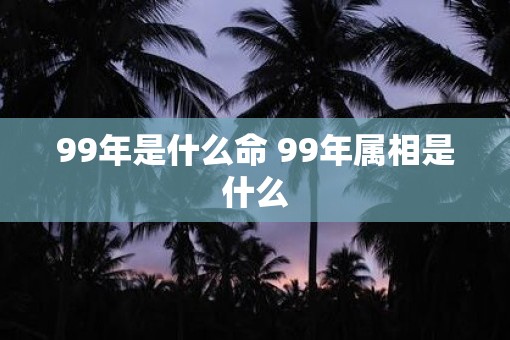 99年是什么命 99年属相是什么