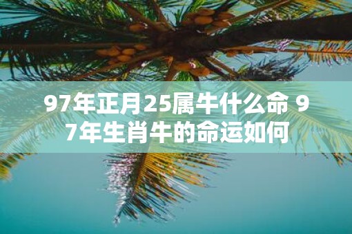 97年正月25属牛什么命 97年生肖牛的命运如何
