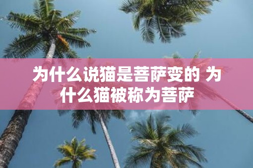 为什么说猫是菩萨变的 为什么猫被称为菩萨 为什么说猫是菩萨变的 为什么猫被称为菩萨
