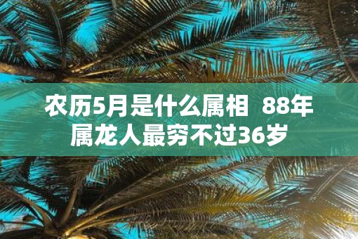 农历5月是什么属相  88年属龙人最穷不过36岁