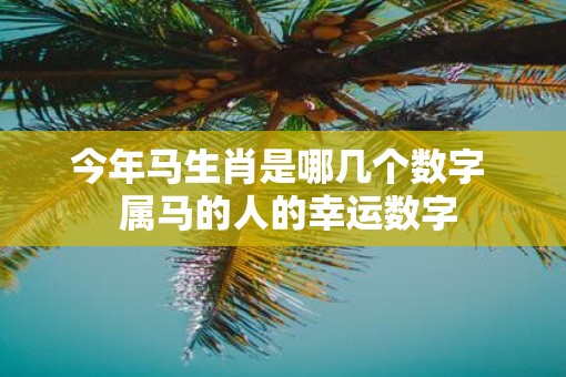 今年马生肖是哪几个数字  属马的人的幸运数字