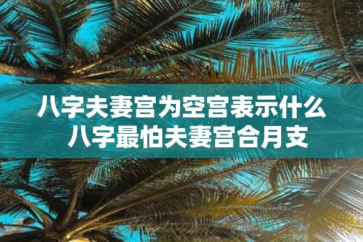 八字夫妻宫为空宫表示什么  八字最怕夫妻宫合月支