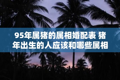 95年属猪的属相婚配表 猪年出生的人应该和哪些属相最佳配对