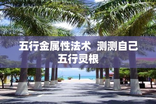 五行金属性法术  测测自己五行灵根