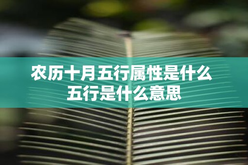 农历十月五行属性是什么 五行是什么意思