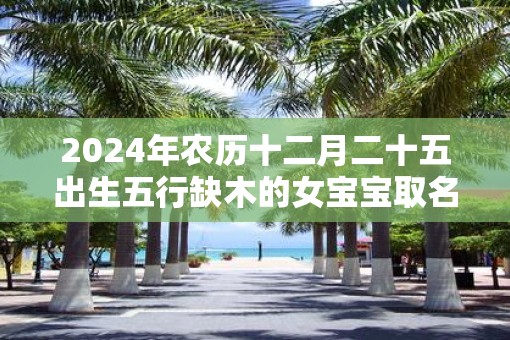 2025年农历十二月二十五出生五行缺木的女宝宝取名字 2025年农历十二月二十五出生五行缺木的女宝宝取名字