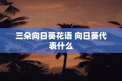 三朵向日葵花语 向日葵代表什么