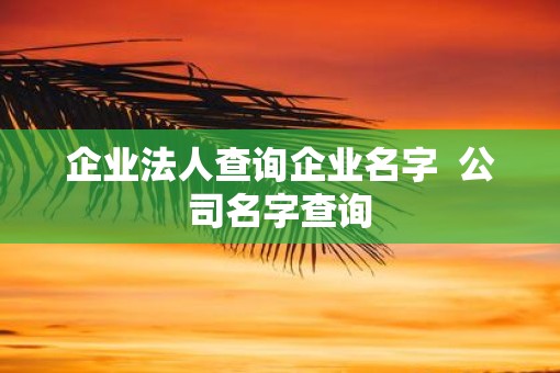 企业法人查询企业名字  公司名字查询