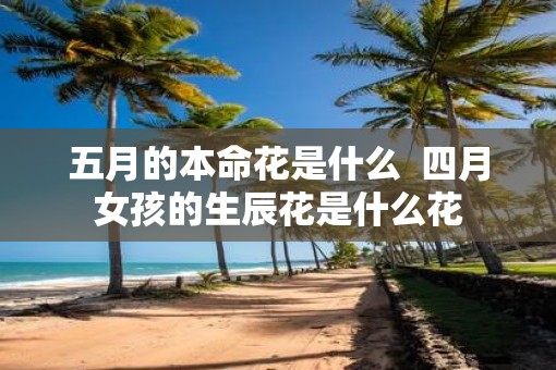 五月的本命花是什么  四月女孩的生辰花是什么花
