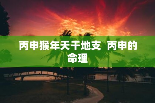 丙申猴年天干地支  丙申的命理