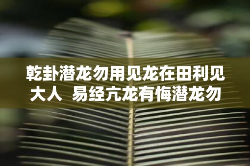 乾卦潜龙勿用见龙在田利见大人  易经亢龙有悔潜龙勿用