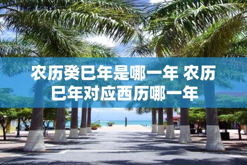 农历癸巳年是哪一年 农历巳年对应西历哪一年