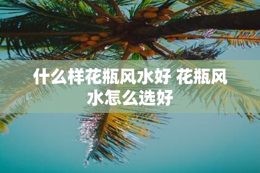 什么样花瓶风水好 花瓶风水怎么选好