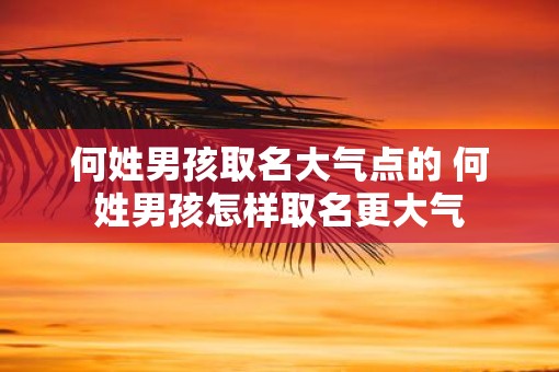 何姓男孩取名大气点的 何姓男孩怎样取名更大气
