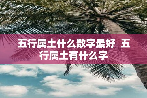 五行属土什么数字最好  五行属土有什么字