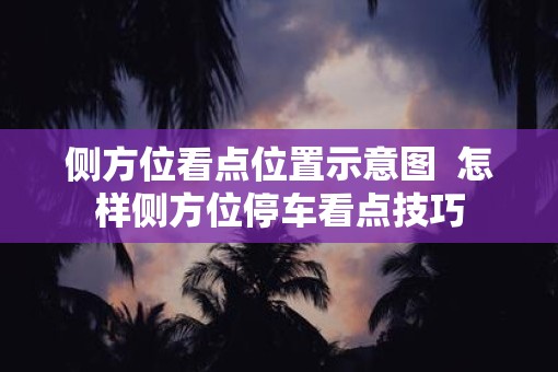 侧方位看点位置示意图  怎样侧方位停车看点技巧