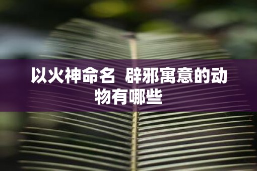 以火神命名  辟邪寓意的动物有哪些