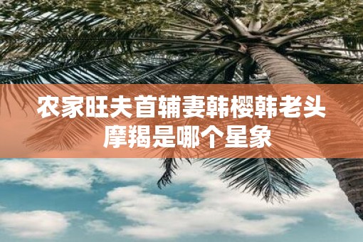 农家旺夫首辅妻韩樱韩老头  摩羯是哪个星象