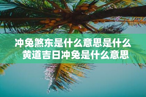 冲兔煞东是什么意思是什么  黄道吉日冲兔是什么意思