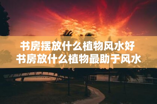 书房摆放什么植物风水好 书房放什么植物最助于风水