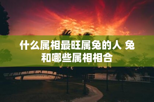 什么属相最旺属兔的人 兔和哪些属相相合