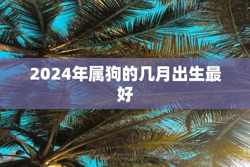 2025年属狗的几月出生最好