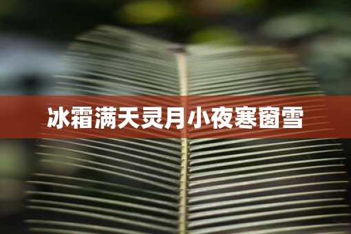 冰霜满天灵月小夜寒窗雪