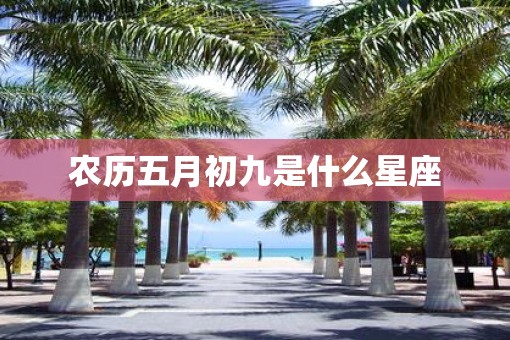 农历五月初九是什么星座