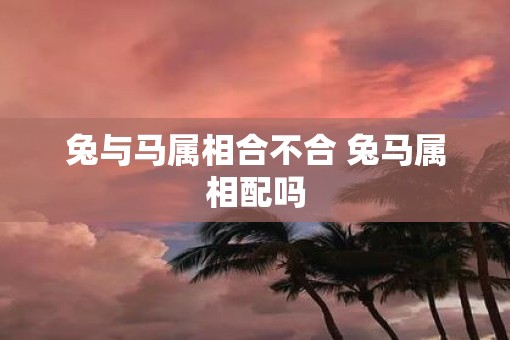 兔与马属相合不合 兔马属相配吗
