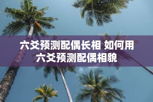 六爻预测配偶长相 如何用六爻预测配偶相貌