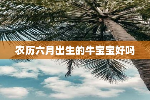 农历六月出生的牛宝宝好吗