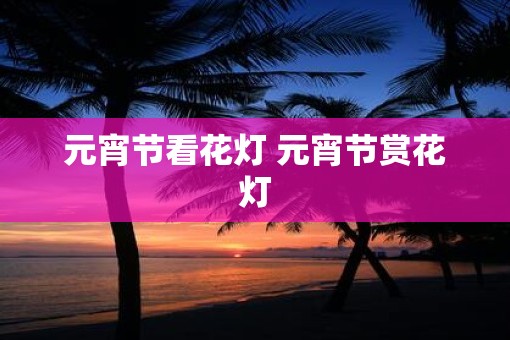 元宵节看花灯 元宵节赏花灯 元宵节看花灯 元宵节赏花灯