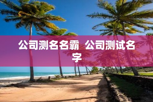 公司测名名霸  公司测试名字